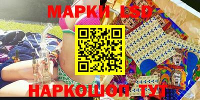 крисы Гай