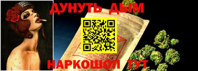 крисы Гай